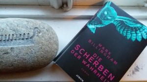 Wenn man so einen Stein durchs Fenster wirft, gibt es auch Scherben